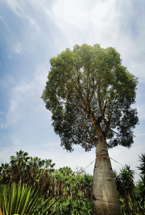 翰墨寫初心，妙筆揚(yáng)清風(fēng)——省建設(shè)科研院組織參加集團(tuán)紀(jì)委清廉文化作品展(圖5)